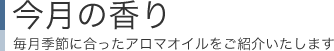 今月の香り：毎月季節に合ったアロマオイルをご紹介いたします